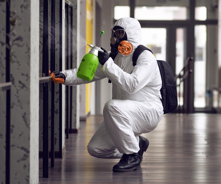 How Much Does Mold Remediation Cost?