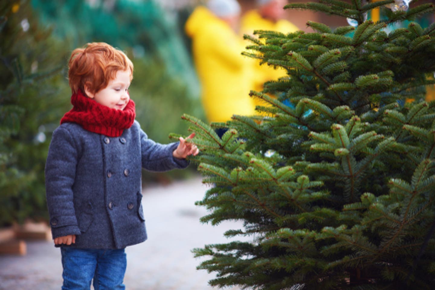 Should you get a real Christmas tree or an artificial tree? SERVPRO found out there are benefits and risks to both.