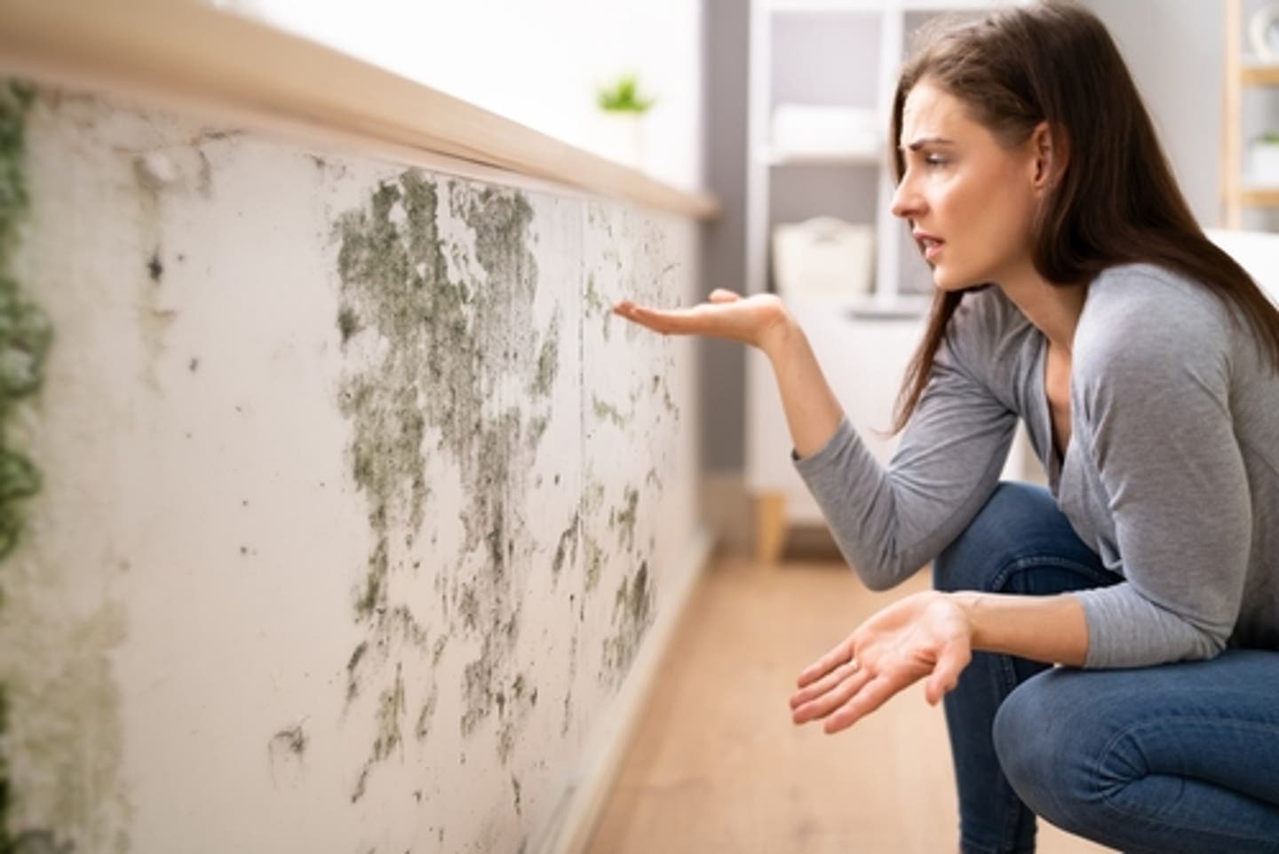 Mold remediation or mold removal. Is there a difference?