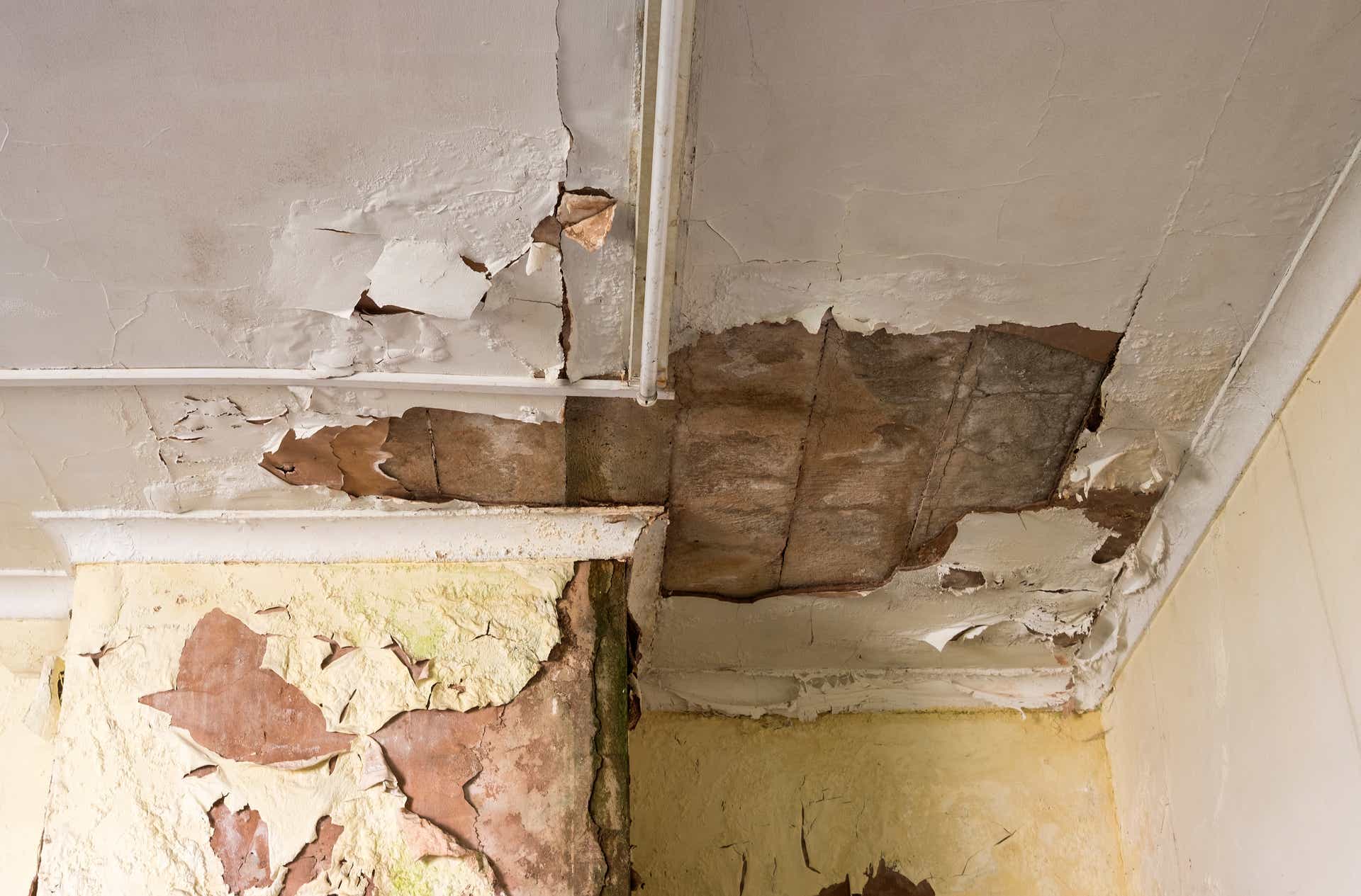 How to Tell If Water Damage Is New or Old?