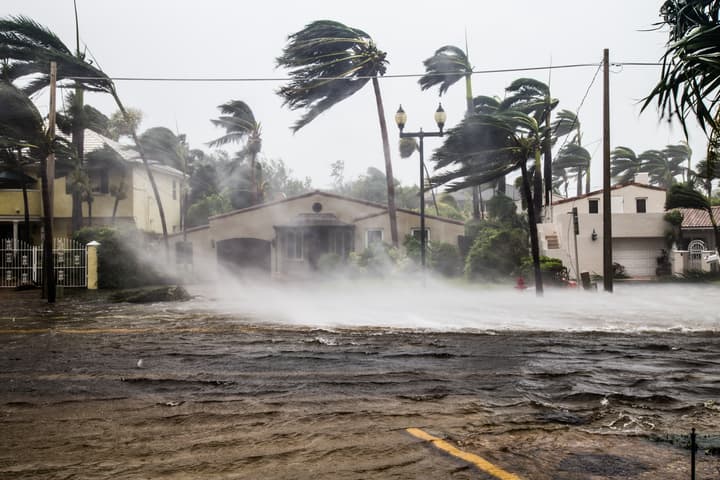 Types of Hurricane Damage