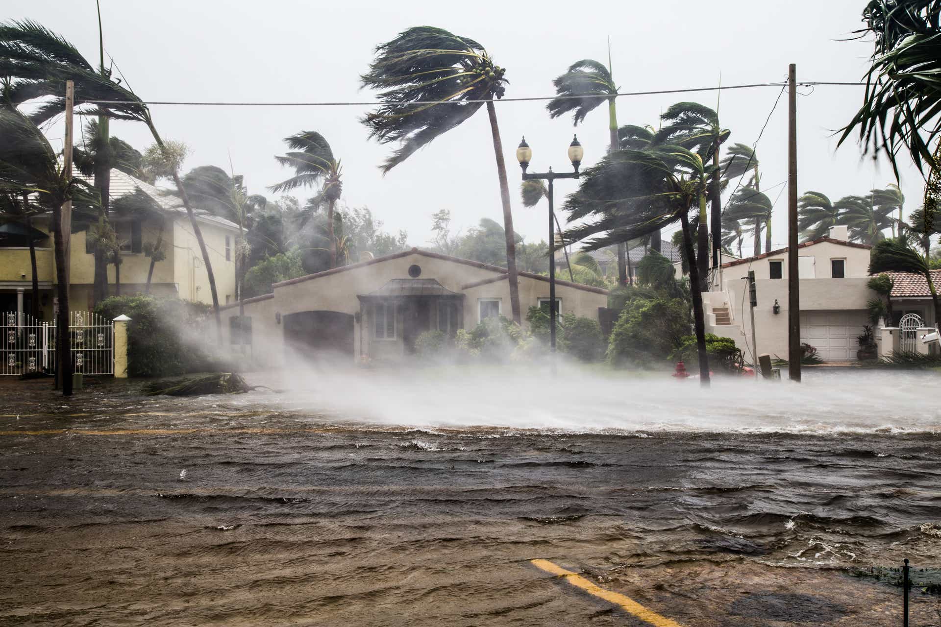 The Pacific, Atlantic, and Central Pacific Hurricane Season and Hurricane Damage Details