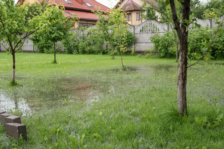 How to Prevent Flooding in Your Yard