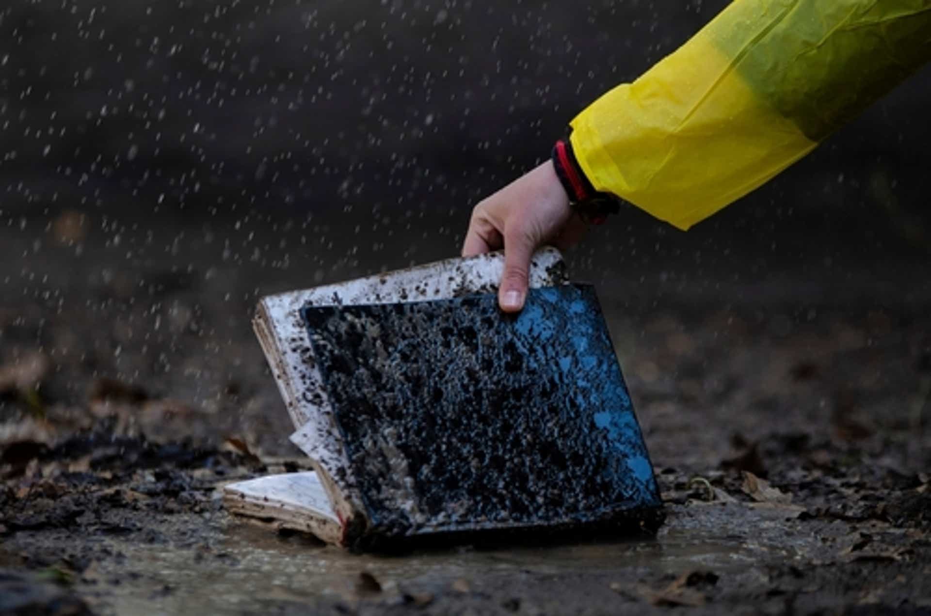 Step by Step Guide to Drying a Wet Book