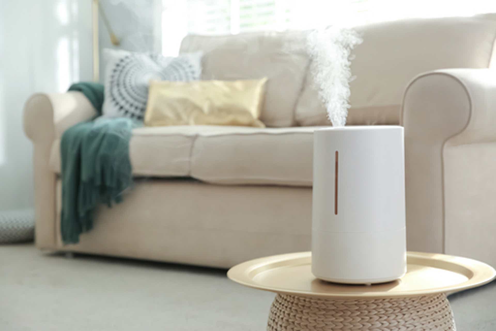 Humidifier Health: Keeping Indoor Air Healthy All Winter