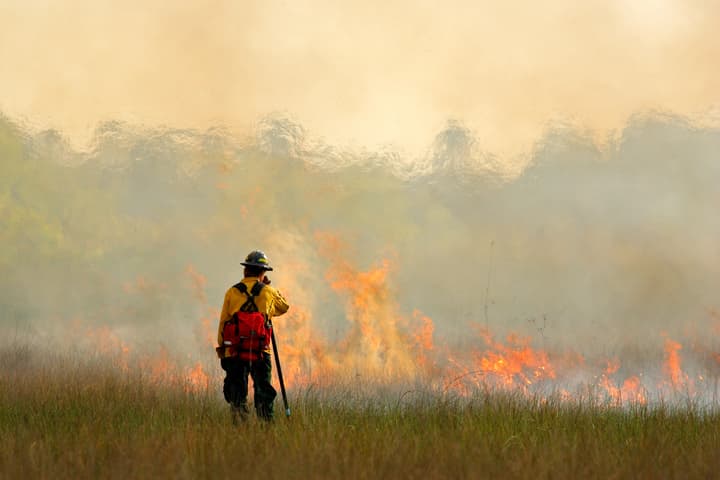 When is Spring Wildfire Season?