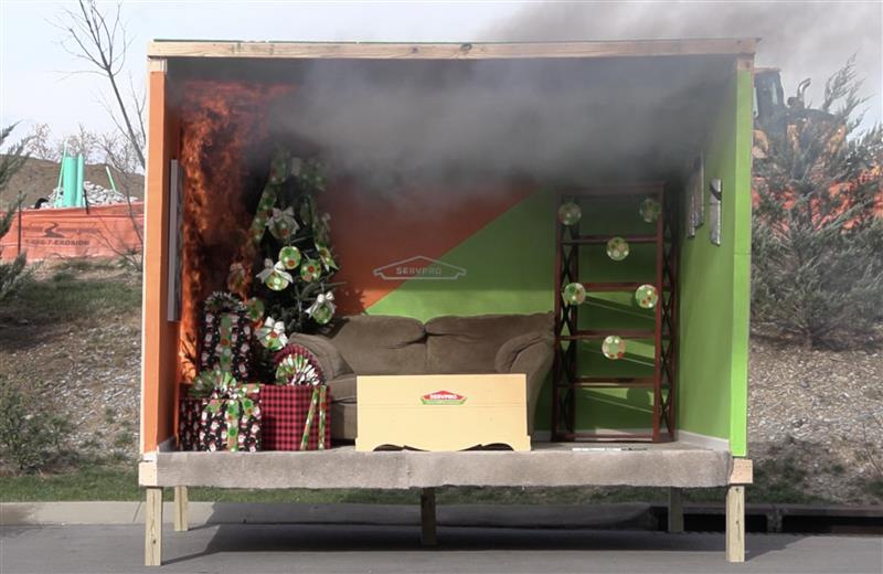 Tis the Season to Avoid a Christmas Tree Fire
